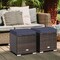 2 Pieces Patio Storage Ottoman with Removable and Washable Cushions